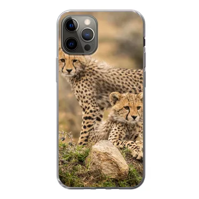 Produktbild von MuchoWow® Handyhülle Schutzhülle Hülle für iPhone 12 Pro Leopard - Jungtier - Natur Silikon Softcase Handy Hülle - Abdeckung