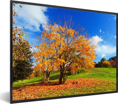 Produktbild von MuchoWow® Gerahmtes Poster Baum - Blätter - Herbst - Jahreszeiten 80x60 cm - Poster mit Schwarzem Bilderrahmen Wandposter Rahmen Foto Bilder - Schwarzem - Mit Gestell