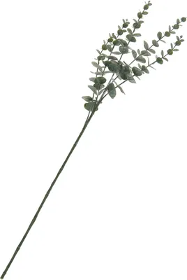 Image de Branche d'eucalyptus artificielle, décor de Noël, 1 pièce, 14 x 73 cm