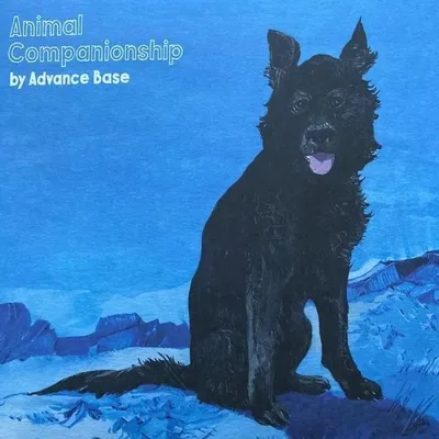 Zdjęcie produktu dla ImportCDs Animal Companionship, Pop rock, Winyl, Nośnik fizyczny, Dorosły, 1 dysków, 01/11/2018