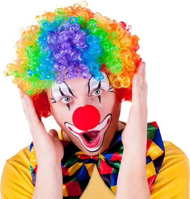Produktbild von RAPPA Clown Perücke farbig für Erwachsene