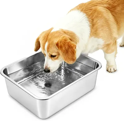 Produktbild von Hundenapf Edelstahl 5L, hohe Kapazität, 32 x 22 cm, für mittelgroße und große Hunde