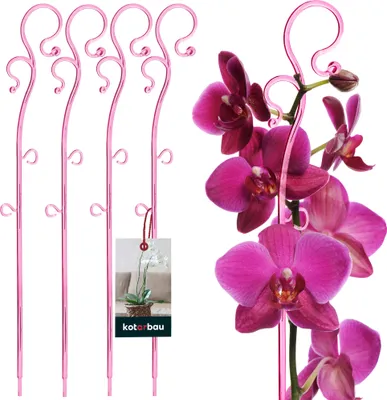 Zdjęcie produktu dla KOTARBAU® Zestaw 4 wsporników do roslin rózowy 39 cm PVC wspornik do kwiatów pomoc przy wspinaczce rosliny doniczkowe wspornik do kwiatów ogród orchidea wspornik do roslin dekoracyjny uchwyt do roslin doniczkowych prety do wspinaczki