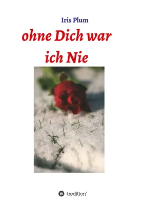 Produktbild von Ohne Dich war ich Nie