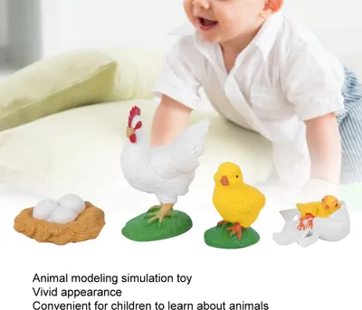 Produktbild von Hahn Wachstumszyklus Modell Kinder Miniatur Simulation Tier Früherziehung Statue Spielzeug