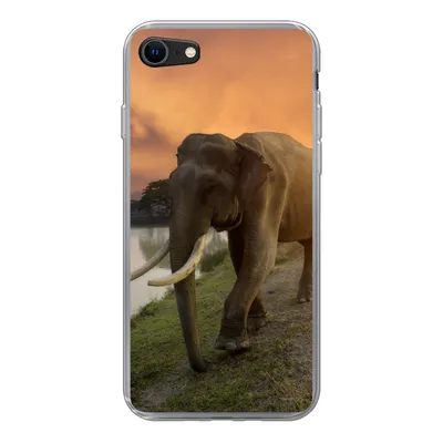 Produktbild von MuchoWow® Handyhülle Schutzhülle Hülle für iPhone 8 Elefant - Wasser - Tiere - Sonnenuntergang - Natur Silikon Softcase Handy Hülle - Schutzhaube