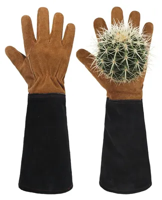 Image de Gants de jardin en cuir pour la protection contre les cactus