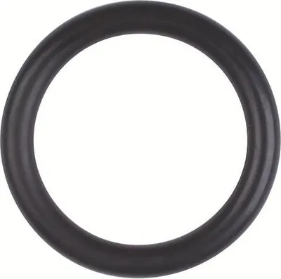 Zdjęcie produktu dla O-ring Röhm, rozmiar 21,82x3,53 - 006252