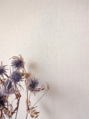 Produktbild von NEWROOM Tapete Beige Vliestapete Unifarbe - Unitapete Uni Creme Stoff-Optik Textil Leinen-Optik Modern Struktur