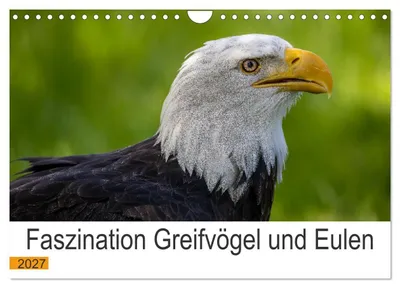 Produktbild von Faszination Greifvögel und Eulen (Wandkalender 2027 DIN A4 quer), CALVENDO Monatskalender