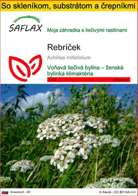 Obrázok produktu pre SAFLAX Kultivačný set - rebríček - Achillea millefolium - 200 Semená - S mini skleníkom, pestovateľským substrátom a 2 črepníkmi