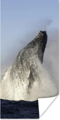 Produktbild von MuchoWow® Poster Wal - Wasser - Südafrika 20x40 cm - Plakat - Foto