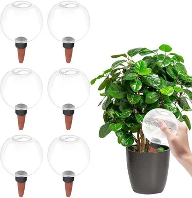 Produktbild von 6 selbstbewässernde Wasseraufnahmekugeln für Pflanzen, 500 ml Wasserspeicher, automatische Pflanzenbewässerung, langlebiges PP und Keramik, ideal für