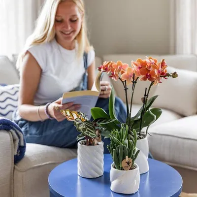 Produktbild von Dekotopf Candy Hoch - Weiß - Ø6cm - Eleganter Keramik Blumentopf in glänzender