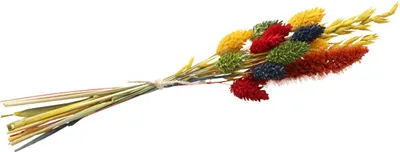Produktbild von Blumenstrauß getrocknet 28 cm Trockenfloristik Herbst Getreide bunt Deko Basteln