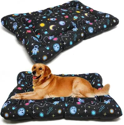 Image de Couverture antidérapante pour chien et tapis pour chat avec coussin doux - Portable et hypoallergénique