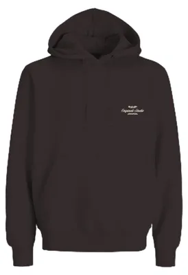 Produktbild von JACK & JONES Jornorrebro Typo Back Sweat Hood Sn Jnr – Größe 176, Java