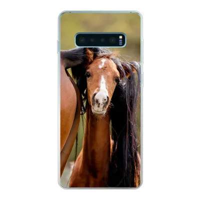 Produktbild von MuchoWow® Handyhülle Schutzhülle Hülle für Samsung Galaxy S10 Lite Pferde - Natur - Braun Silikon Softcase Handy Hülle - Schutz