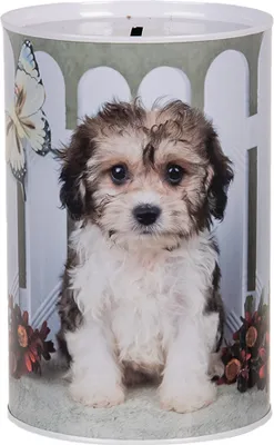 Produktbild von Clayre & Eef Spardosen Ø 10x15 cm Weiß Metall Hund