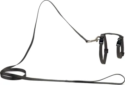 Produktbild von Beeztees Uni - Katzengeschirr - Nylon - dunkelgrau - 27-45 cm