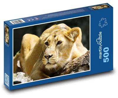 Zdjęcie produktu dla Puzzle 500 Lew na wolności - martinpuzzle