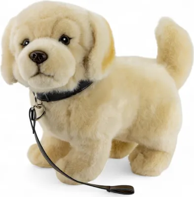 Immagine prodotto di Carl Dick Golden Retriever con guinzaglio di circa 24 cm, peluche, peluche, peluche 3633