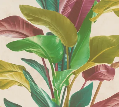 Zdjęcie produktu dla Livingwalls tapeta z palmami Metropolitan Stories tapeta tropikalna Antonio Barcelona tapeta z włókniny kolorowy zielony żółty czerwony biały 10,05 m x 0,53 m