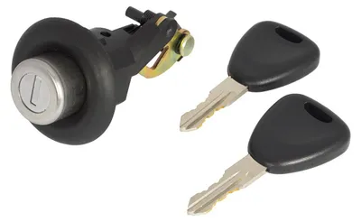 Schloss 2x Schlüssel Schliesszylinder Heckklappe für Dacia Sandero 2008-2012 – Produktansicht