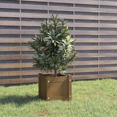 Produktbild von The Living Store Pflanzkübel Honigbraun 31x31x31 cm Massivholz Kiefer