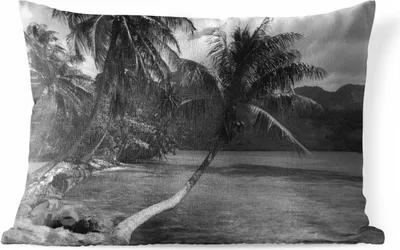 Produktbild von MuchoWow® Outdoor Kissen - Palmen am Strand von Mo'orea in Schwarz und Weiß - 60x40 cm - Wetterfest - Lounge Kissen - Zierkissen - Kissen für Innenräume