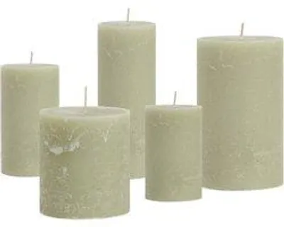 Cactula Stumpenkerzen-Set – Eukalyptus – 5 Stück