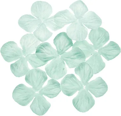 Produktbild von HORTENSIONEN Papierblumen, aqua 50mm - 100 Stück