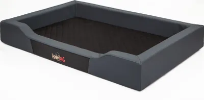 A dog bed on a white background.
