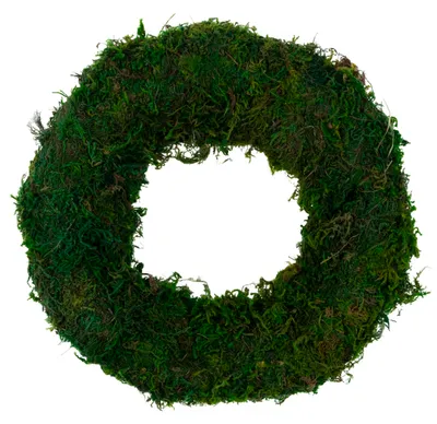 Image de Couronne de mousse 20 cm - vert