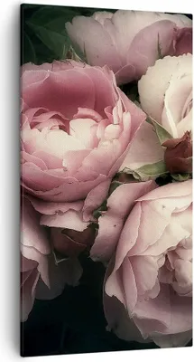 Produktbild von Bild auf Leinwand - Leinwandbild - Pfingstrose Blume - 55x100cm - Wand Bild - Wanddeko - Wandbilder - Leinwanddruck - Bilder - Kunstdruck - Wanddekoration - Leinwand bilder - Wandkunst - PA55x100-3930