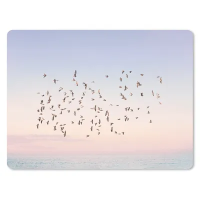 Produktbild von MuchoWow® Mauspad Mousepad Vögel - Meer - Himmel - Natur - Sommer 23x19 cm - Mousepads - Maus Mat - Pad - Mausunterlage - Schreibtischunterlage - Mauspad