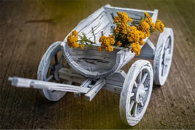 Produktbild von Holzhandwagen Weiß Rustikal Sommerset