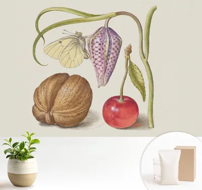 Produktbild von Fototapete  - 104x70 cm - Tapete - Wandtapete - Wandbilder  - Dekofolie - Tapete Folie - Wand - Dekoration - Wohnzimmer - Schmetterlingspflanze