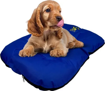 Produktbild von EVE Textile Hundebett Katzenbett 70x50x5 cm Blau Hundekorb Katzenkorb Hundekissen Katzenkissen Hundesofa Katzensofa Bett für Haustiere Hund und Katze