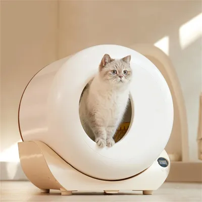 Offene Katzentoilette Mit Hohem Rand – 50x37,1x17,5 Cm, Grau, Mit Schaufel, Spritzwassergeschützt