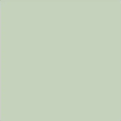 Produktbild von Pentart Dekor Paint Chalky Kreidefarbe 100 ml - 21478 - Flechtengrün