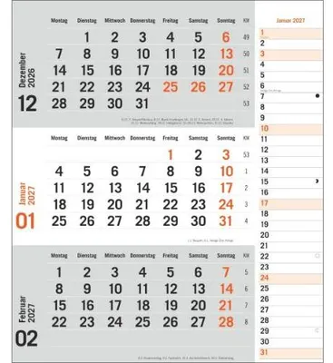 Obrázek produktu pro times&more 3měsíční diář, oranžový 2027