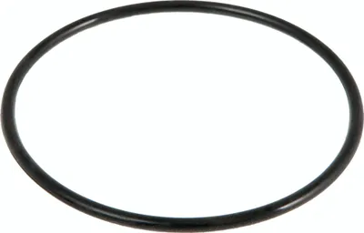 Produktbild von Bestway Strainer O-Ring für Sandfilter außer 530gal