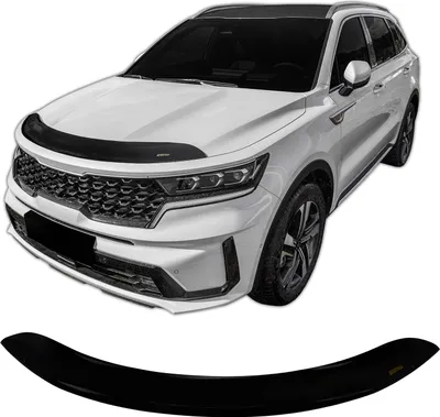 Obrázek produktu pro SCOUTT | Deflektor / kryt přední kapoty pro Kia Sorento 4 2020-