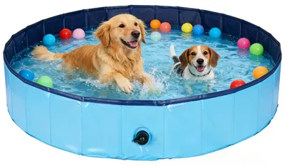 Image de Piscine pour chiens, 160x30 cm, pliable, antidérapante, bleue, taille XL, pour l'extérieur