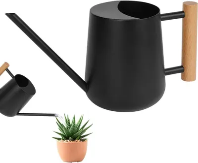 Produktbild von Edelstahlgießkanne, 1 l, kleine Gießkanne für Pflanzen, Zimmerpflanzen, mit langem Ausgießer, für Haus, Bonsai(schwarz)