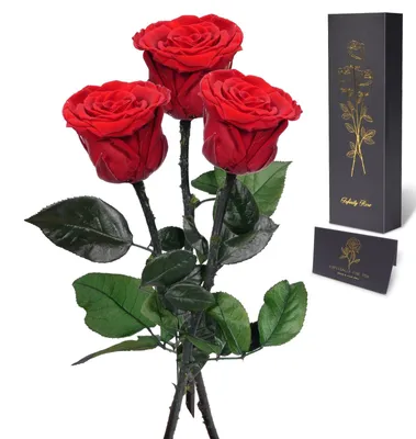 Produktbild von Ewige Rosen – Konserviert auf Stiel – 3 rote Rosen – Geschenk für Frauen