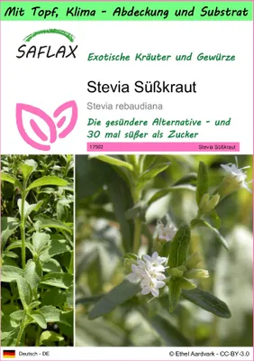 Produktbild von SAFLAX Garden to go - Stevia Süßkraut - Stevia rebaudiana - 100 Samen - Mit Topf, Klima - Deckel und Anzuchtsubstrat