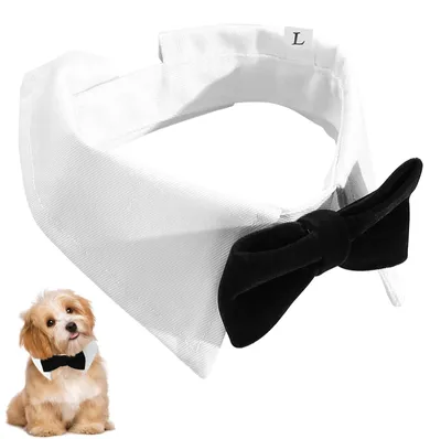 Productafbeelding van Hondenstrikjes Set van 2 (L 7x39 cm) voor Honden en Katten