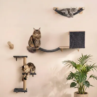 Produktbild von WOOWOOD Katzen Kletterwand Set 8-teilig, 2 Hängematten & Treppen, Grau/Naturholz